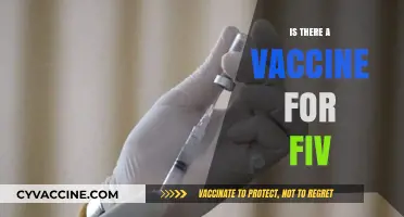 Is There a Vaccine for FIV? Exploring Feline Immunodeficiency Virus Prevention