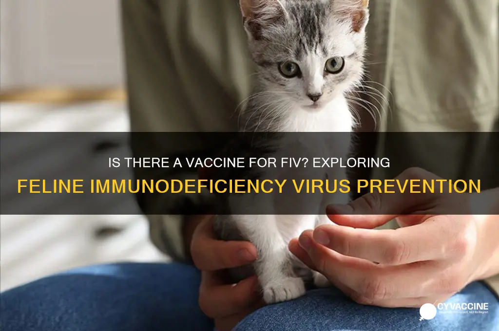 is there a vaccine for fiv