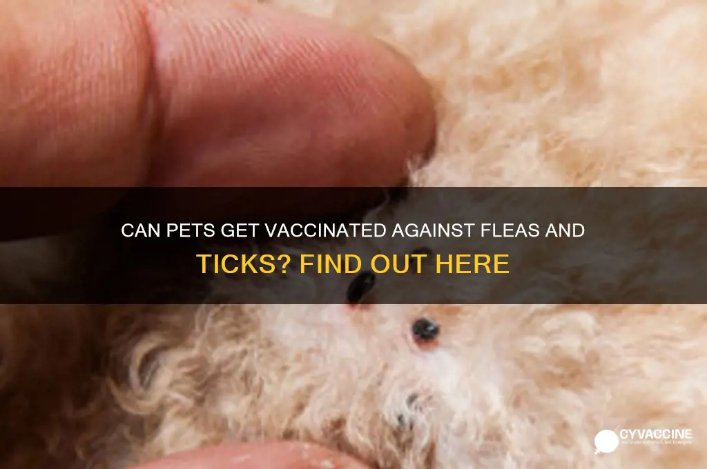is there a vaccine for fleas and ticks