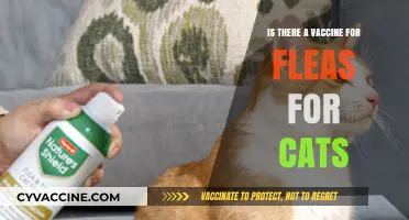 Flea Vaccine for Cats: Fact or Fiction? What Owners Need to Know