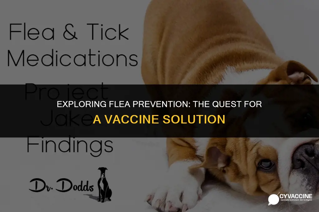 is there a vaccine for fleas