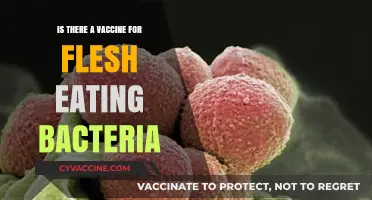 Flesh-Eating Bacteria: Vaccine Availability and Prevention Strategies Explained