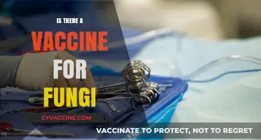 Exploring the Possibilities: Is There a Vaccine for Fungi?