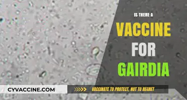 Exploring the Quest for a Giardia Vaccine: Progress and Challenges