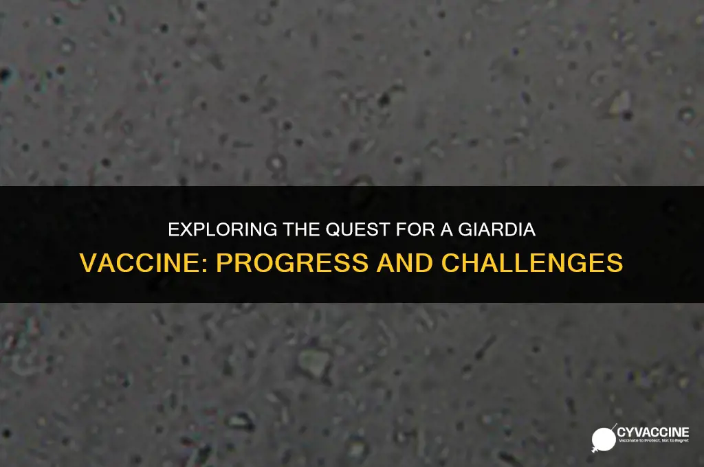is there a vaccine for gairdia