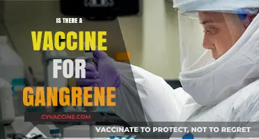 Exploring the Possibilities: Is There a Vaccine for Gangrene?