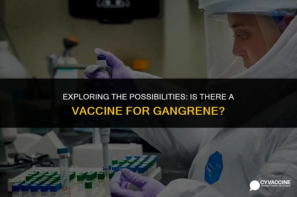 is there a vaccine for gangrene