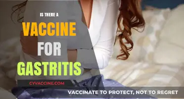 Exploring Gastritis Vaccination: Facts, Myths, and Future Prospects