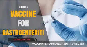 Exploring Gastroenteritis Prevention: The Vaccine Option