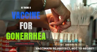 Exploring the Quest for a Gonorrhea Vaccine: Hope on the Horizon?