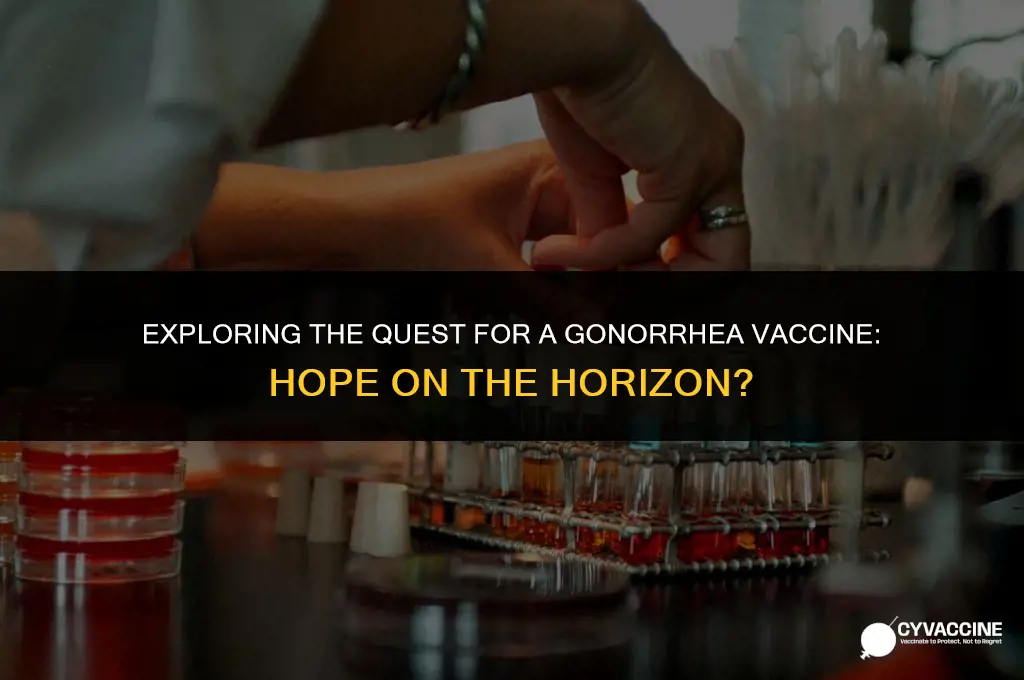 is there a vaccine for gonerrhea