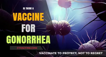 Is There a Gonorrhea Vaccine? Exploring Prevention and Research Updates
