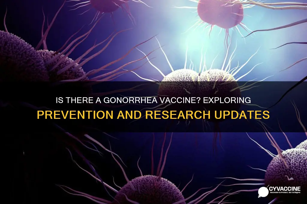 is there a vaccine for gonorrhea