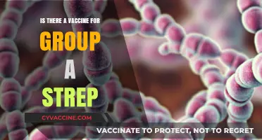 Is There a Vaccine for Group A Strep? What You Need to Know