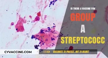 Exploring the Possibility of a Group A Streptococcus Vaccine