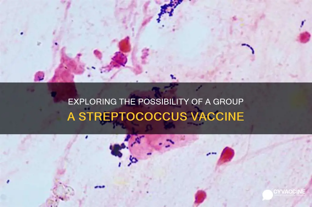 is there a vaccine for group a streptococcus
