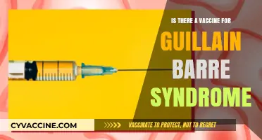 Guillain-Barré Syndrome: Exploring Vaccine Options and Prevention Strategies