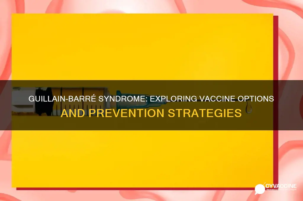 is there a vaccine for guillain barre syndrome