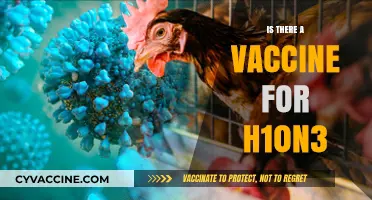 Exploring the Latest on H10N3: Vaccine Developments and What You Need to Know