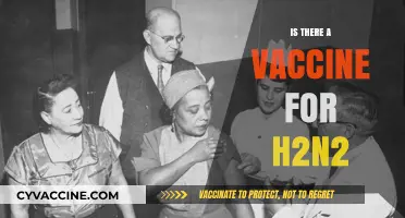 Combatting H2N2: The Quest for an Effective Vaccine