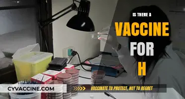 Exploring the Quest for an 'H' Vaccine: Facts and Myths