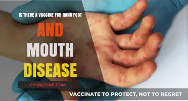 Hand, Foot, and Mouth Disease: A Vaccine in Reach?