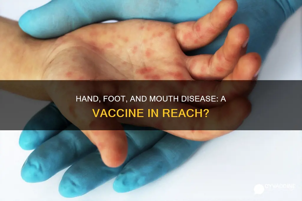 is there a vaccine for hand foot and mouth disease