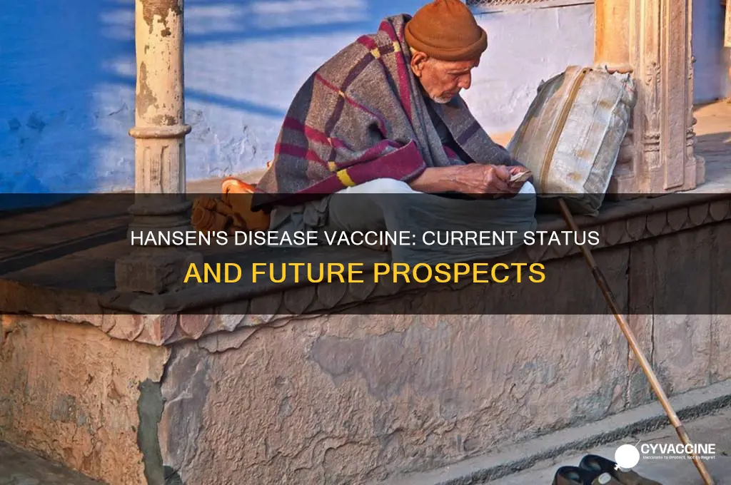 is there a vaccine for hansen