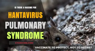 Hantavirus Pulmonary Syndrome: Vaccine Availability and Prevention Strategies