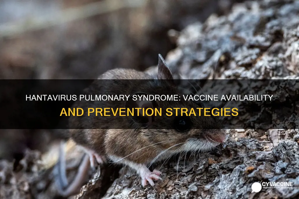 is there a vaccine for hantavirus pulmonary syndrome