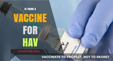 Exploring the Latest on HAV Vaccines: Facts and Myths Debunked