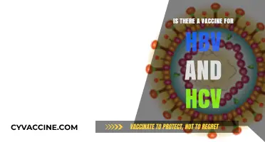 HBV and HCV Vaccines: Availability, Efficacy, and Prevention Strategies