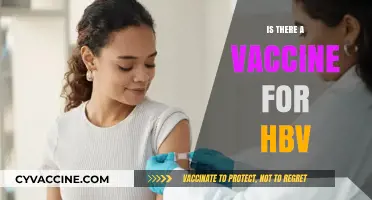 Is There a Vaccine for HBV? Understanding Prevention and Protection