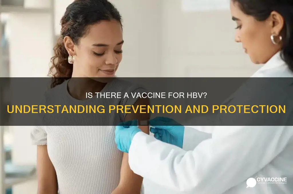 is there a vaccine for hbv