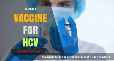 Is There a Vaccine for HCV? Current Status and Future Prospects