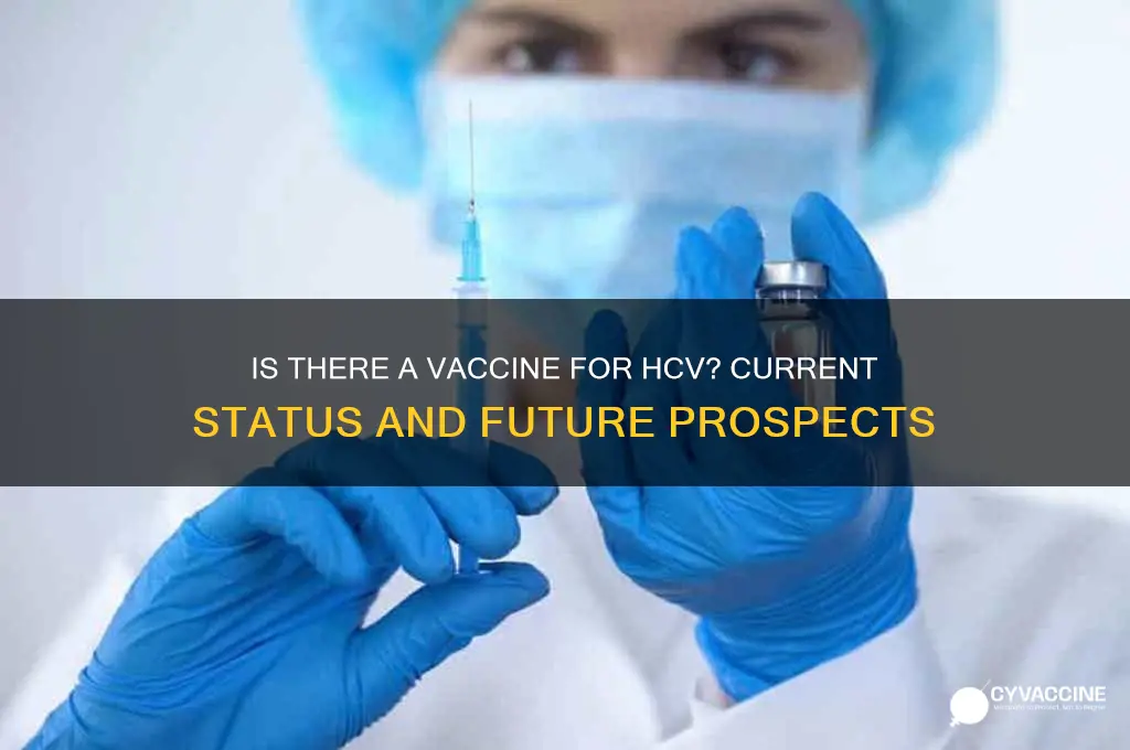 is there a vaccine for hcv
