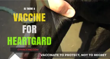 Exploring Heartworm Prevention: Is There a Vaccine for Heartgard?