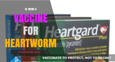 Protecting Your Pet: The Truth About Heartworm Vaccines