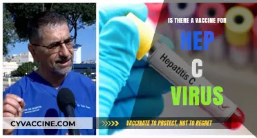 Hepatitis C Vaccine: Current Status and Future Prospects Explained