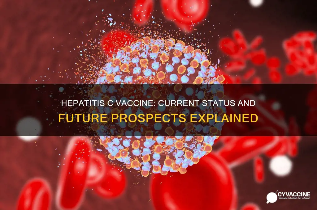 is there a vaccine for hep c virus