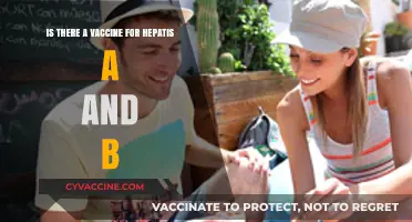 Hepatitis A and B Vaccines: Availability, Protection, and Prevention Explained