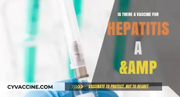 Hepatitis A Vaccine: Availability, Effectiveness, and Prevention Explained