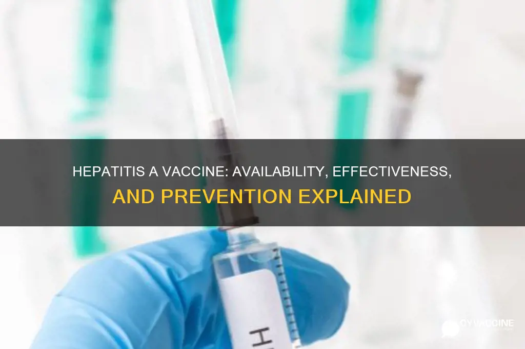 is there a vaccine for hepatitis a &amp