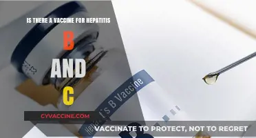 Hepatitis B & C: Vaccines and Their Availability