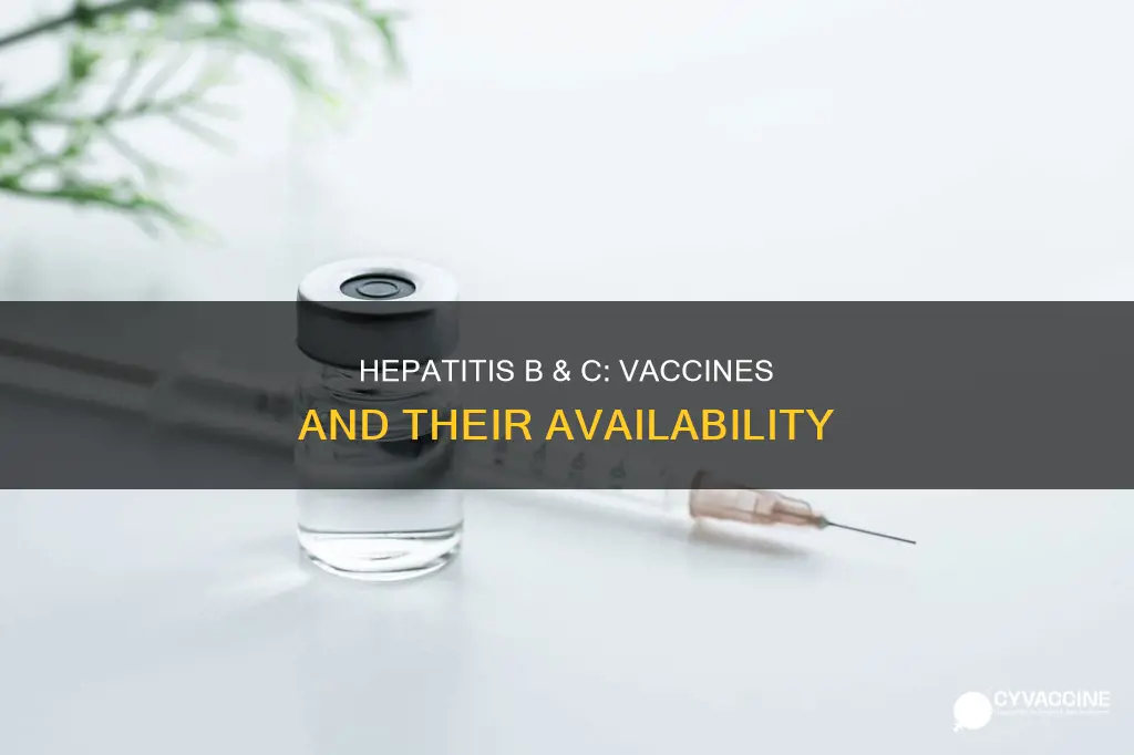 is there a vaccine for hepatitis b and c