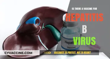 Hepatitis B Vaccine: Effective Protection and Prevention