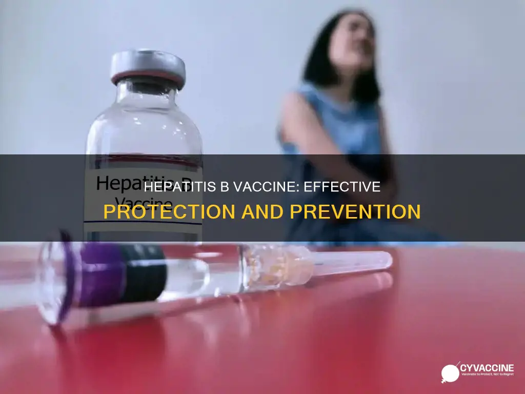 is there a vaccine for hepatitis b virus