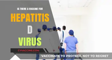 Hepatitis D Virus: Current Vaccine Status and Prevention Strategies