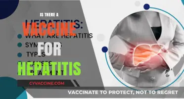 Hepatitis Vaccines: What You Need to Know About Prevention