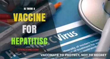 Exploring Hepatitis C: The Quest for a Protective Vaccine
